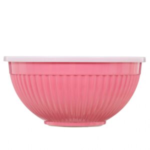 Plastic Mixing Bowl Isolated